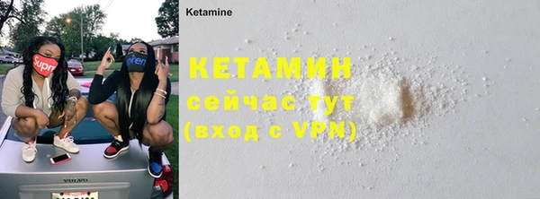 прущие грибы Елабуга