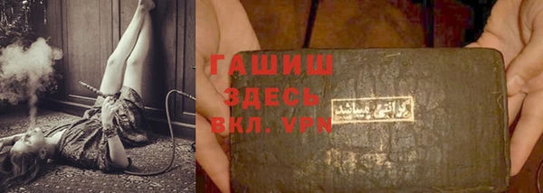 прущие грибы Елабуга