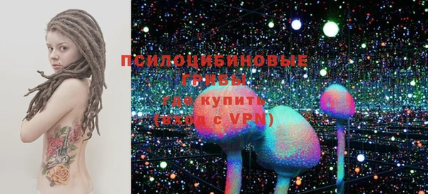прущие грибы Елабуга