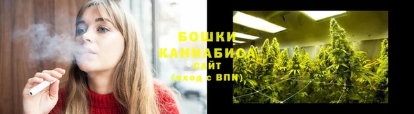 гидропоника Ельня