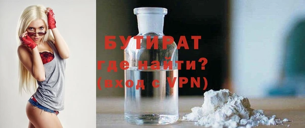 прущие грибы Елабуга