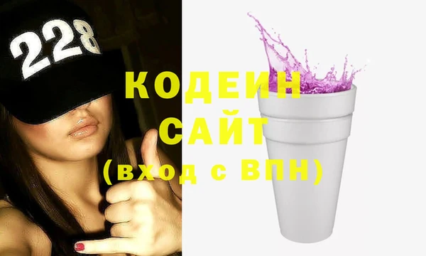 прущие грибы Елабуга