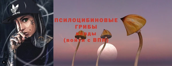 гидропоника Ельня
