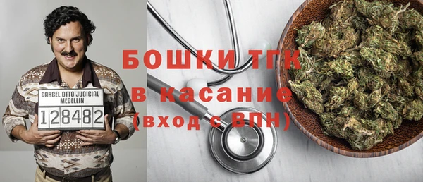прущие грибы Елабуга