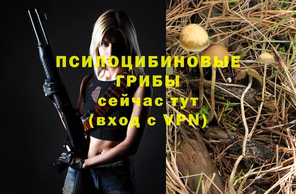 ешки Заводоуковск