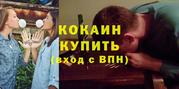 прущие грибы Елабуга