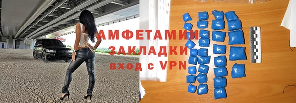 прущие грибы Елабуга