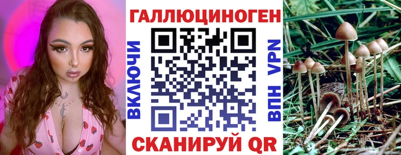 цена Каменск-Шахтинский Галлюциногенные грибы GOLDEN TEACHER